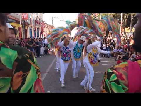 FESTA DO DIVINO SÃO LUIZ DO PARAITINGA | SP