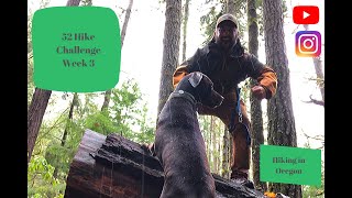 52 hike challenge week 3 South Willamette Trail