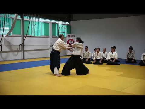 2023 HAF Aikido Seminar - Shihan Etsuji Horii - yokomen uchi nikyo