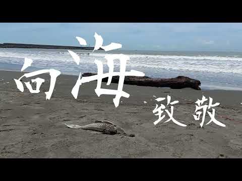 向海致敬 (嘉義林管處110年度暑期實習生-嘉義大學森林系 黃怡安、榮翊傑 製作)