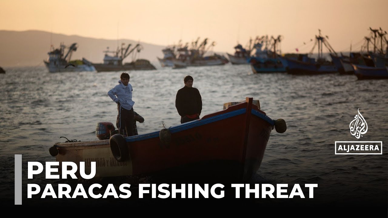 Peru's nature reserve at risk: Supreme court set to rule on industrial fishing
