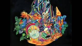 Kaitlyn Aurelia Smith  -  First Flight