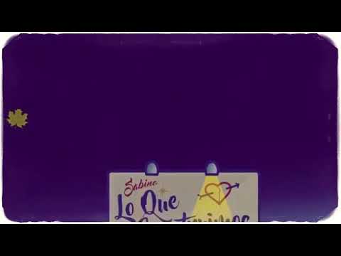 SABINO - LO QUE CONSTRUIMOS