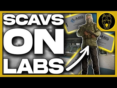 Player Scavapalooza On Labs Feat. Gluhar - Escape From Tarkov News