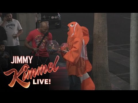 Good Deeds with Cousin Sal - Goldfish Edition