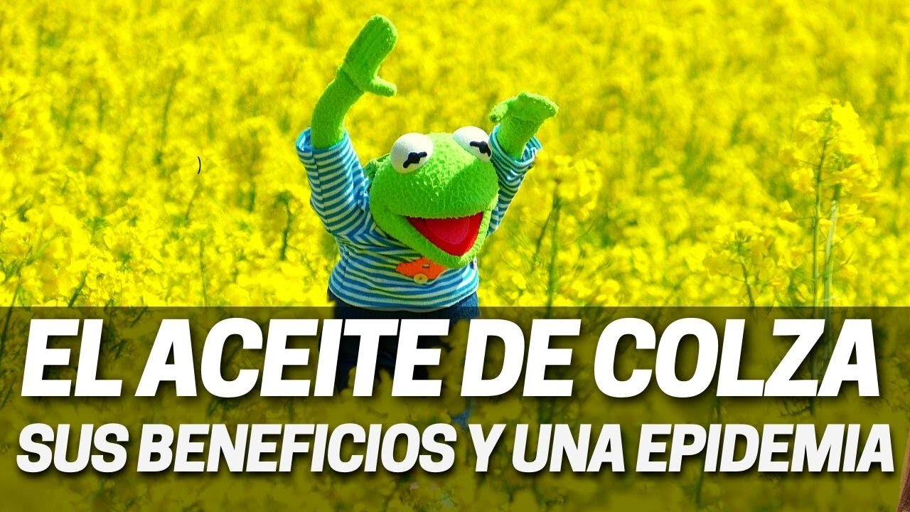 Watch Los grandes beneficios del aceite de colza o de canola, y el envenenamiento ocurrido en 1981 Now Los grandes beneficios del aceite de colza o de canola, y el envenenamiento ocurrido en 1981