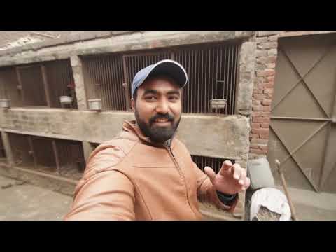 Baby group with Rana Usman Safdar