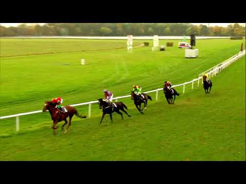 Galopprennbahn Dresden - 21.10.2017 - 6.Rennen