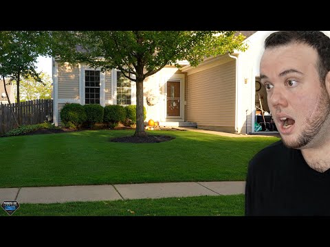 I RUINED my 100% Kentucky Bluegrass Lawn and it never looked BETTER