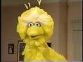 Sesame Street Tarah Sleeps Over At Gabi S New HD