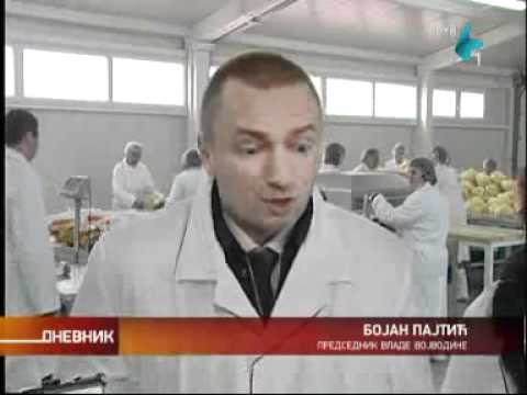 Savremeni pogon kiselog kupusa u Futogu