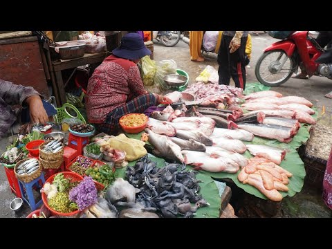 Fresh Cucumbers, Orange, Longan, Santol & More Food @Tuol Sangke Market - Morning Market Scene