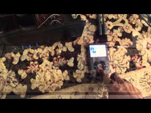 NAD 3020 with klipsch Heresy 2