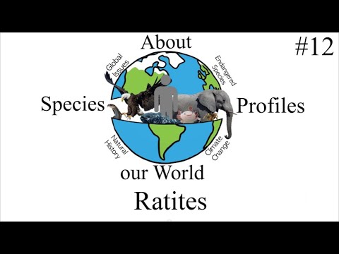 About Our World - Ratites