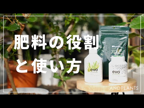 スギナ肥料の利点