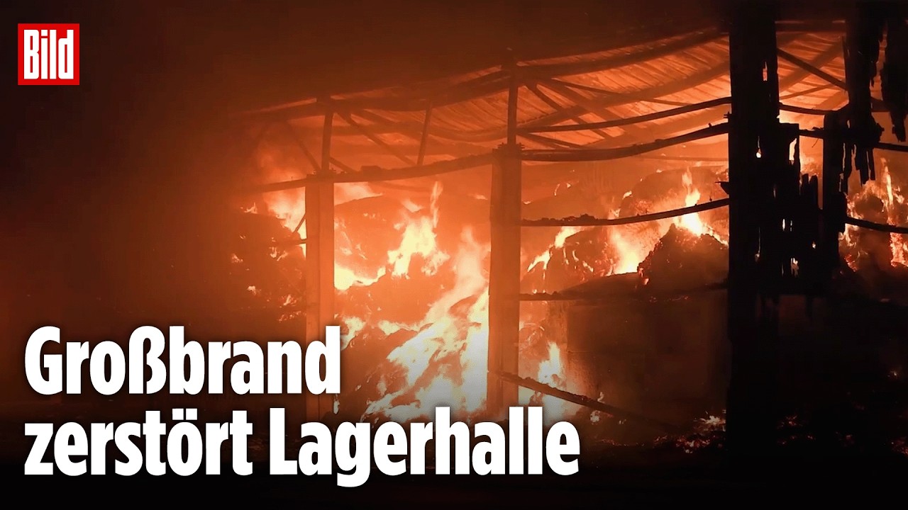 Bauernhof in Flammen: Millionenschaden nach gewaltigem Hallenbrand in Bernsgrün