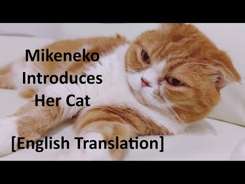 Mikeneko Introduces Her Cat [English Translation]