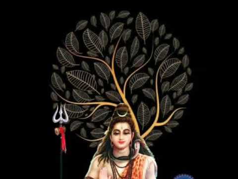 Nalini thiruvembavai 1 song