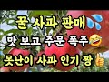 꿀 부사 판매💦건강과 예뻐짐을 함께🍎못난이 사과도 판매해요🤭