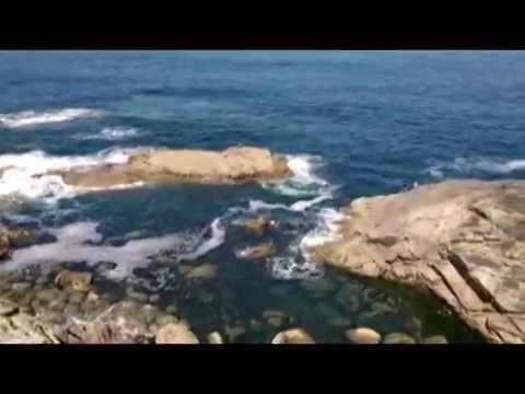 Crazy Tibu´s legacy