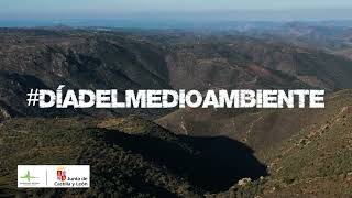 Día del Medio Ambiente 2026
