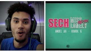 Sech Ft. Anuel AA &amp; Karol G - Miss Lonely (Remix 2)