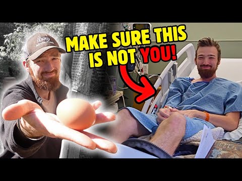 Assembling the Rugged Ranch Omaha Chicken Coop 4K