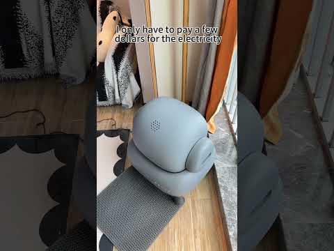 &best litter box self cleaning#CatProducts #cat#catlitterbox #couple #neakasa#topentrylitterbox