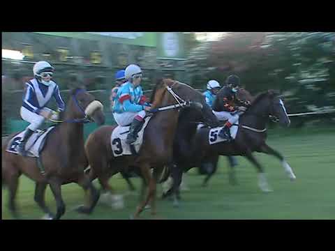 Galoppo 18/07/2020 - 5ª corsa