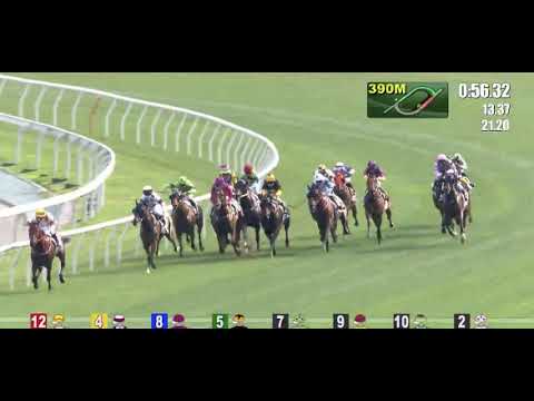 🥇City Legend by RED GIANT