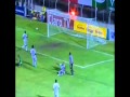 Brasileirao 2013 : Neguinho da Beija-Flor 