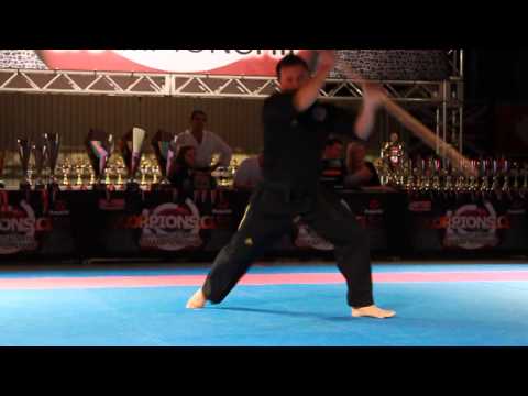 Scorpions Cup 2014 - Roman Volak Grand Champion form
