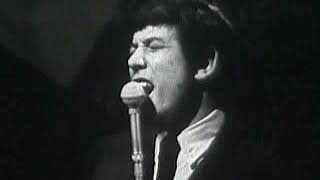 THE ANIMALS(LIVE VIDEO)- &quot;I&#39;M CRYING&quot; (LYRICS)