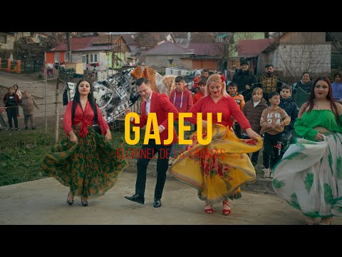Florinel de la Sarmas - Gajeu'