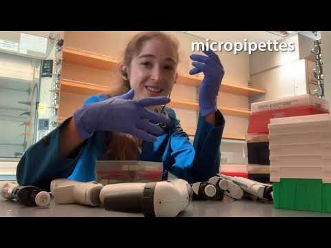 Pipette types and tips - an intro/overview