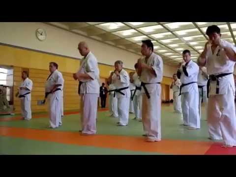 KUDO. Samokhin I. (Ukraine). Dan Test for 5th dan. КУДО