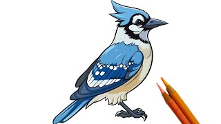 How to Draw a Beautiful Blue Jay | Easy Step-by-Step Tutorial