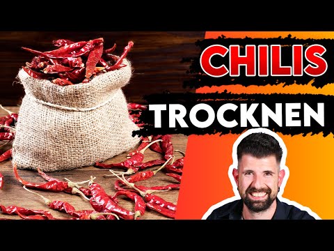 3 ways: Drying chili made easy (dehydrator, oven, fan)