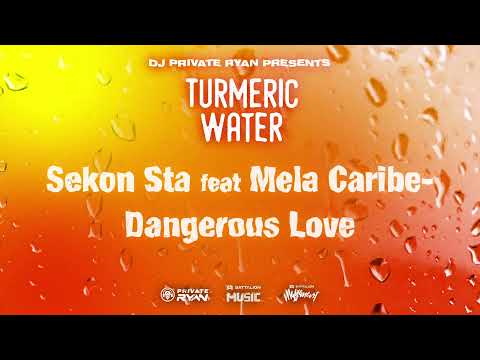 Sekon Sta x Mela Caribe - Dangerous Love (Official Audio) | Turmeric Water Riddim | BATTALION Music