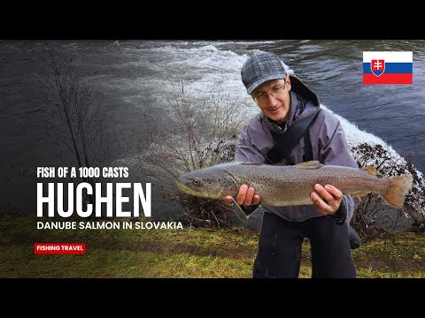 Huchen Quest am Hron 🇸🇰 | Donau-Lachsangeln im Herzen der Slowakei
