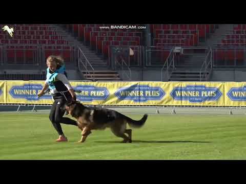 1002 Elton v  Blankanera - TSB BSZS-2023