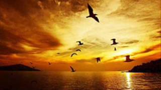 changing partner     =  patti page