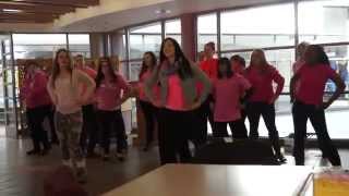 preview picture of video 'Lakeland College Anti Bullying Flash Mob'