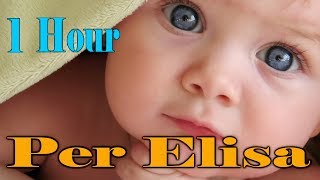 ❤♫☆1 Hour Per Elisa Lullaby to Put a Baby to Sleep - Calming Piano Songs ❤♫☆