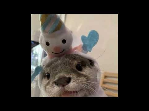 [FREE FOR PROFIT] guitar hyperpop x glitchcore type beat -  "i love u" (prod. branwen)