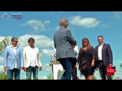 1st PLACE  N.14 DA ARIYANA - Chantilly 2017 European BC - Yearling Fillies Championship (Class 10)