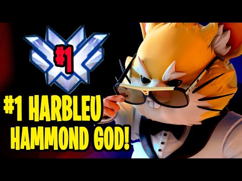 #42! HARBLEU HAMMOND GAMEPLAY OVERWATCH SEASON 25 TOP 500