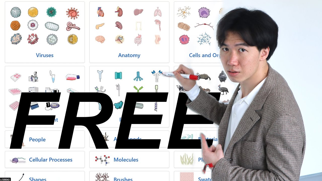 Free scientific illustrations websites (2025)