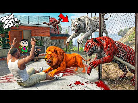 Franklin & Shinchan Chased by Hungry Red Tigers in Los Santos! 🐯😱 | GTA 5