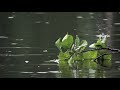 Activate Qi Flow With OM Mantra & Powerful Drums ➤ Sounds of Rain ➤ Solfeggio 852 & 963 Hz ☯ Activate Qi Flow With OM Mantra & Powerful Drums ➤ Sounds of Rain ➤ Solfeggio 852 & 963 Hz ☯